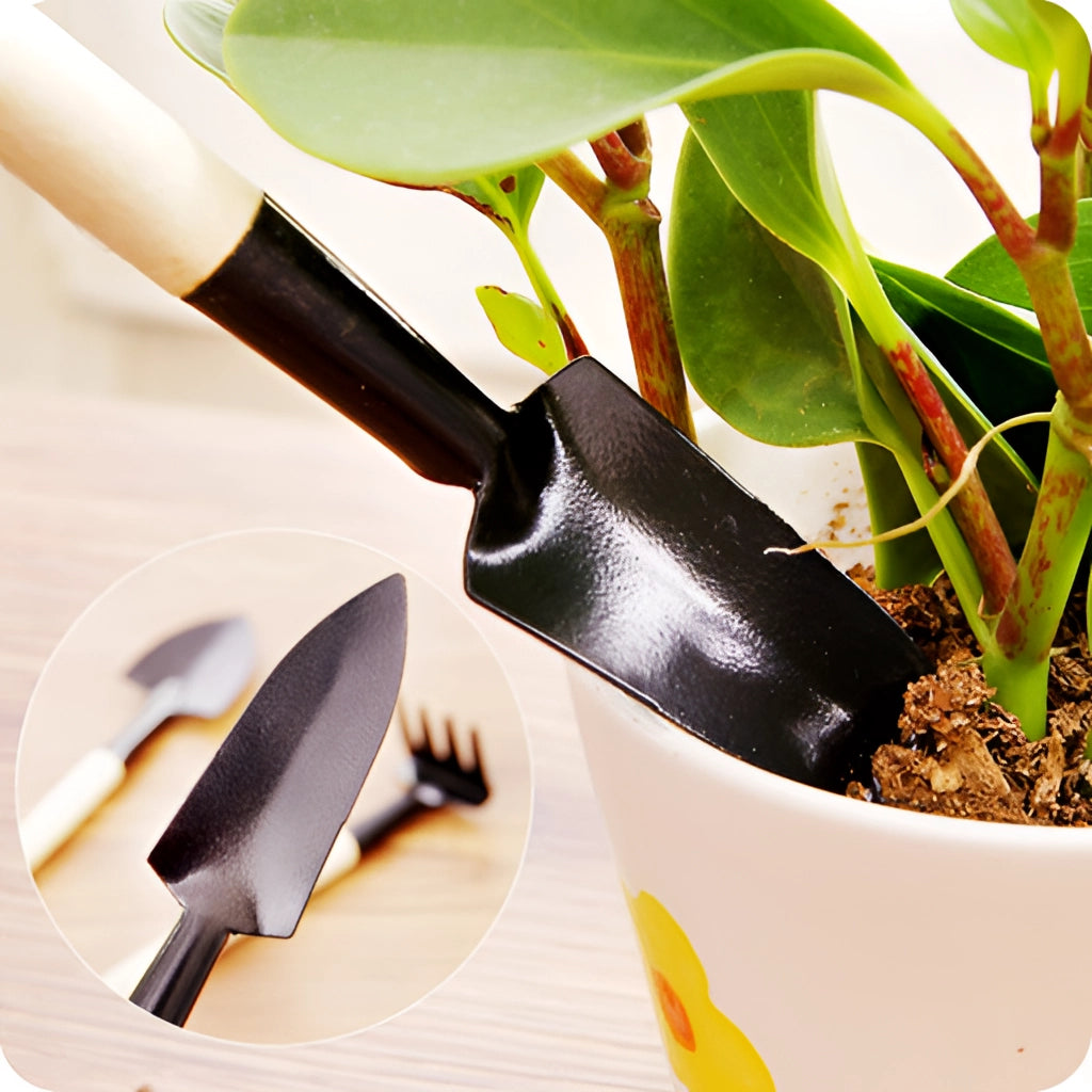 Gardening tool set with durable iron and wood handles placed near flowerpot and houseplant.
