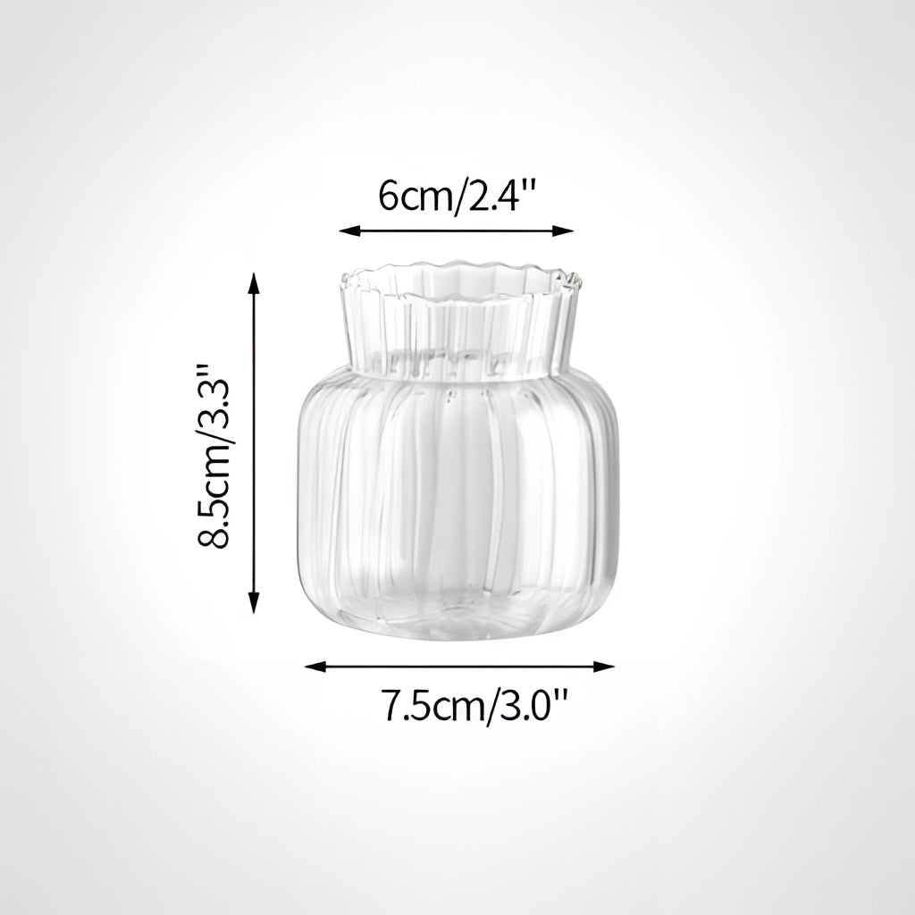 Nordic style transparent glass plant vase, Type D, with a sleek cylindrical shape.
