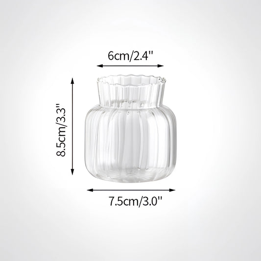 Nordic style transparent glass plant vase, Type D, with a sleek cylindrical shape.