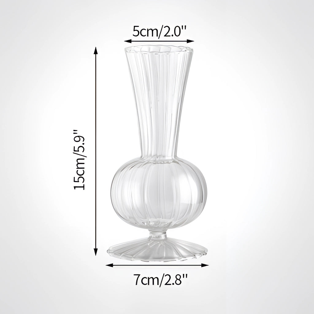 Nordic style transparent glass plant vase Type C featuring a cylindrical design with terrestrial plants inside.