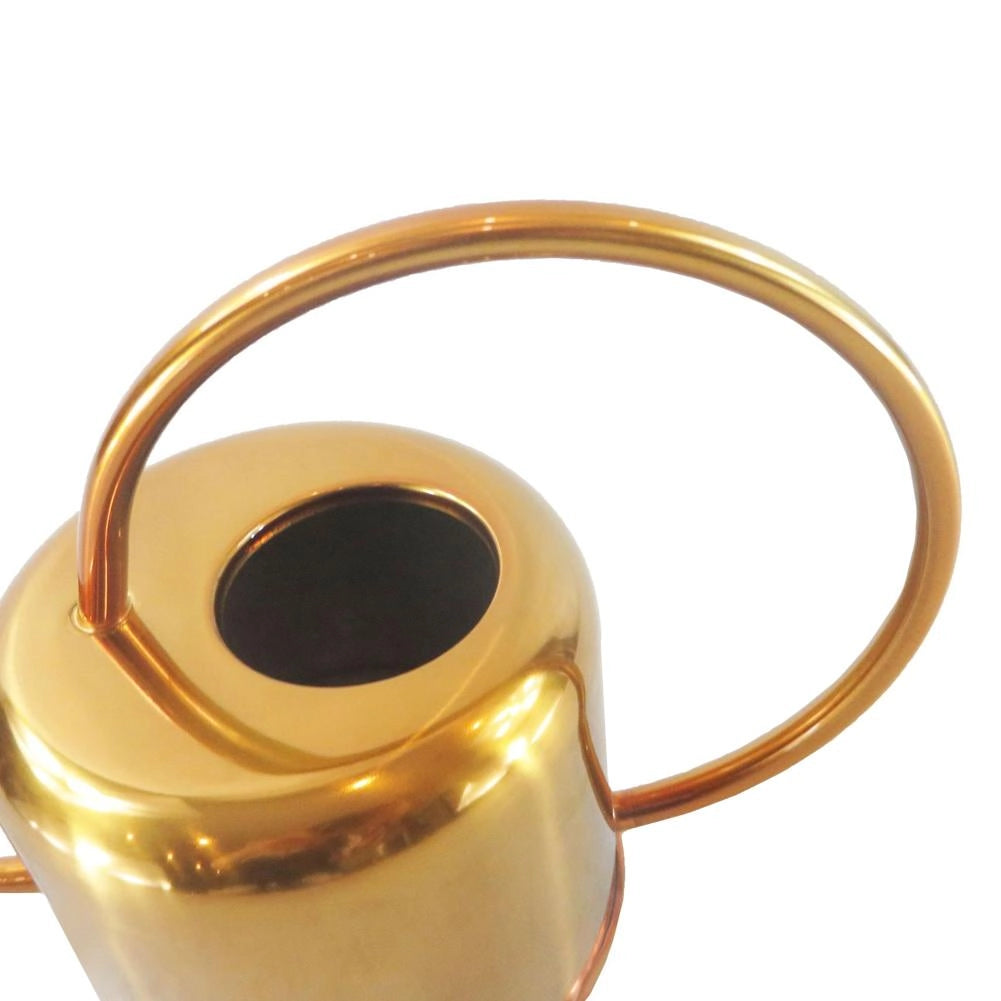Gold Stainless Steel Watering Can for Plant Care sitting on a table.