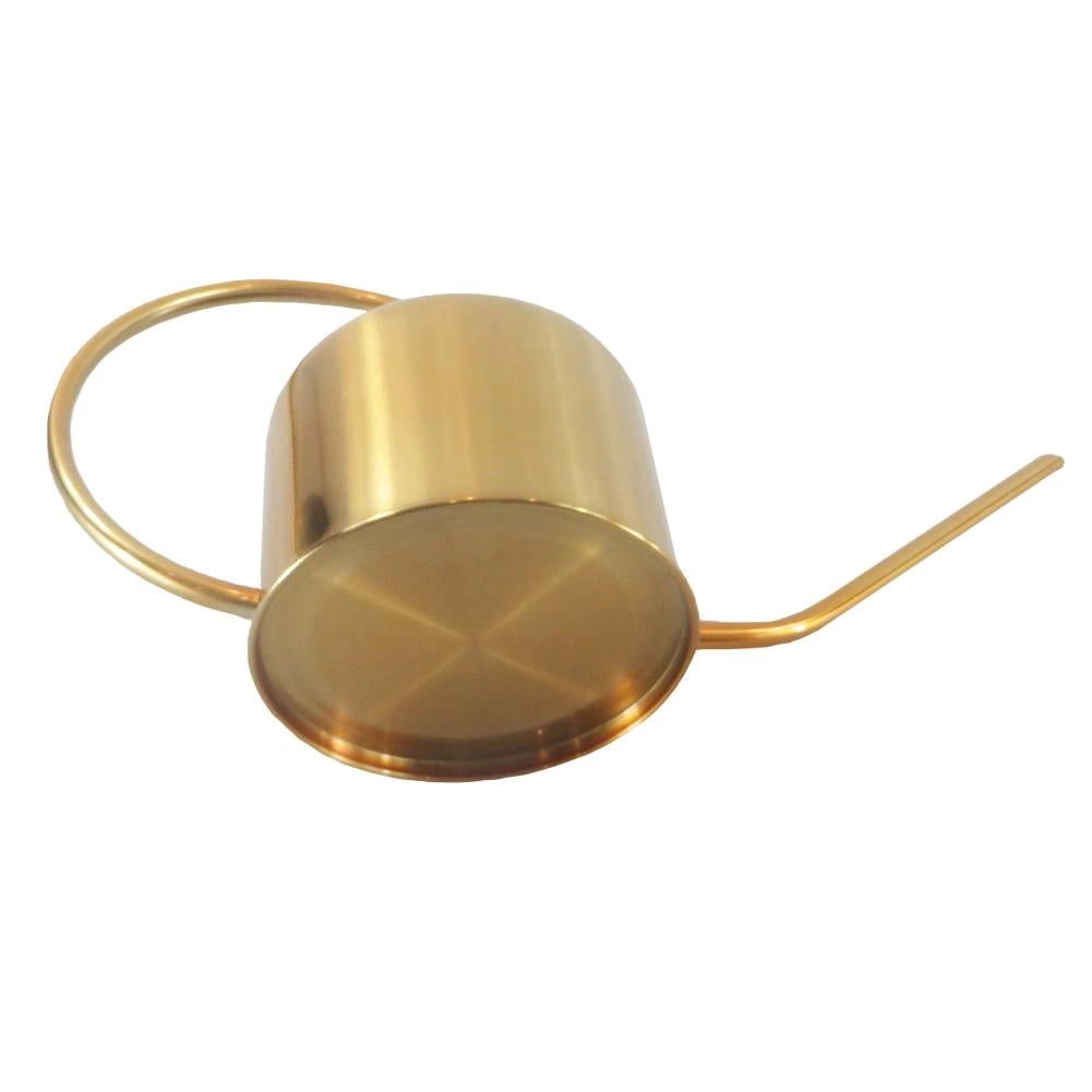 Gold stainless steel watering can for plant care on a white background.
