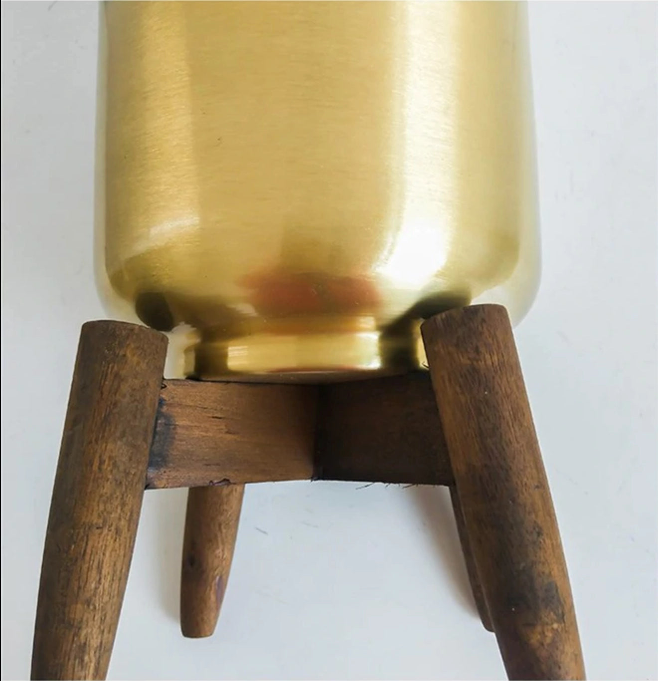 Golden Iron Plant Stand with Wooden Base in a contemporary setting.