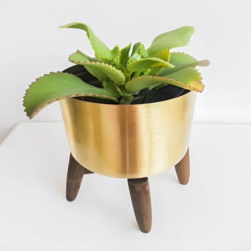 Golden iron plant stand with a wooden base holding a houseplant in a flowerpot.
