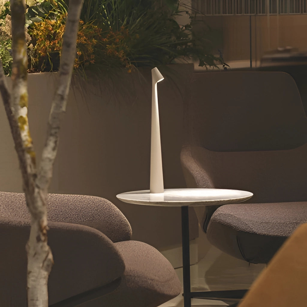Portable rechargeable LED table lamp made of aluminum, placed on a wooden surface near a houseplant, illuminated in a dark setting.