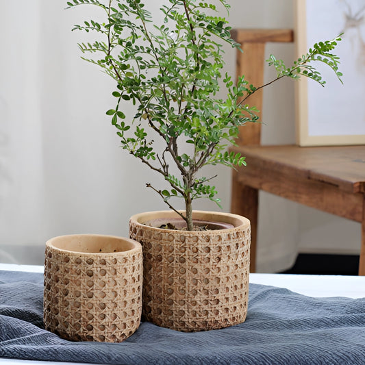 Rattan cement planter with natural texture, containing a green houseplant, displayed indoors against a rectangular wall.