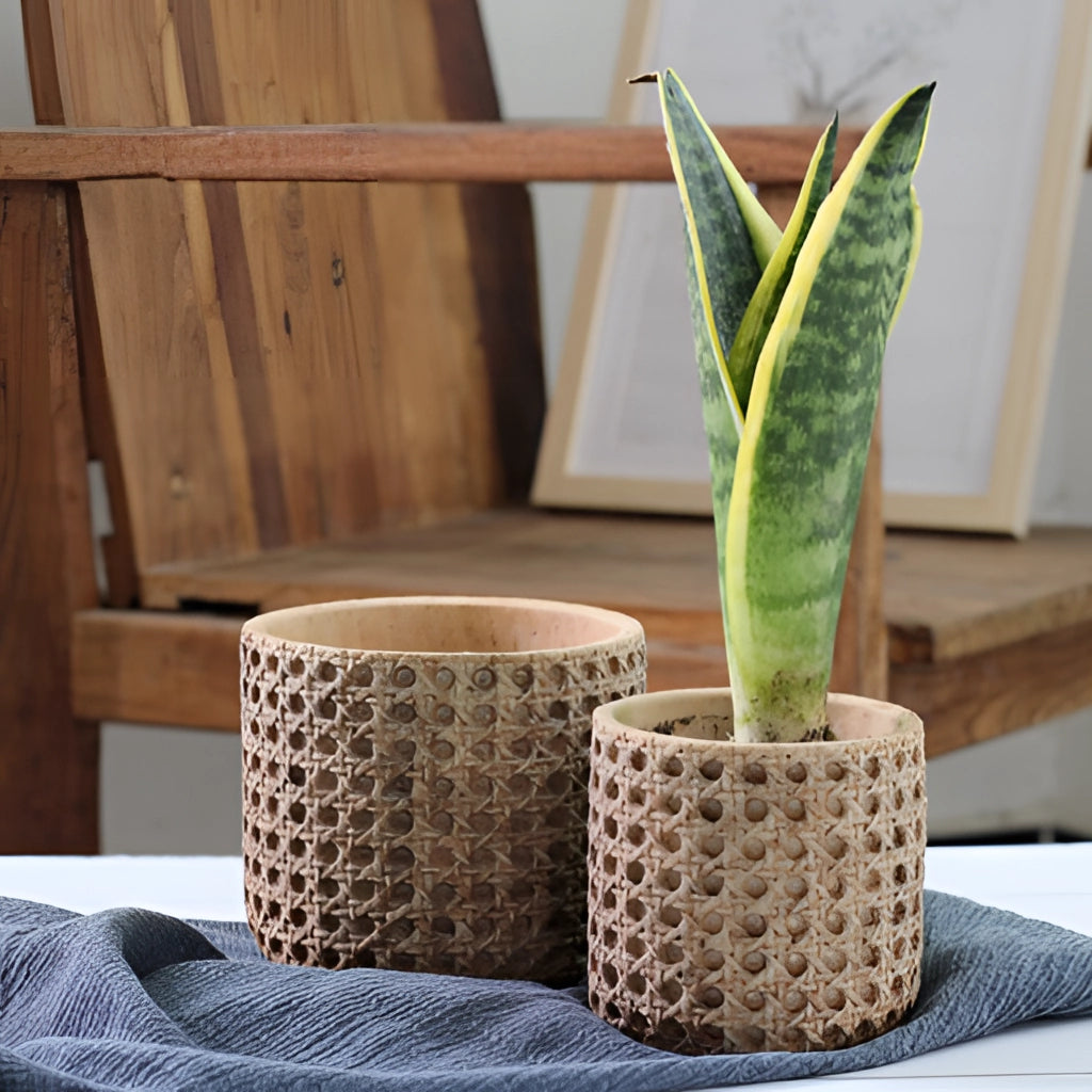 Rattan Cement Planter with Natural Texture holding a green terrestrial plant, placed on a wooden surface.