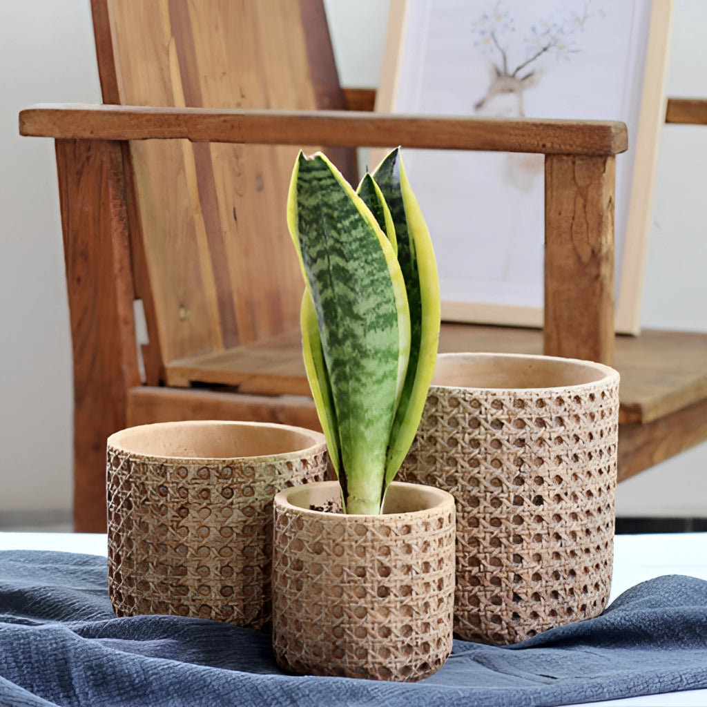 Rattan Cement Planter with Natural Texture, placed on a wooden floor near a wall, featuring a terrestrial plant and blending with the interior design.